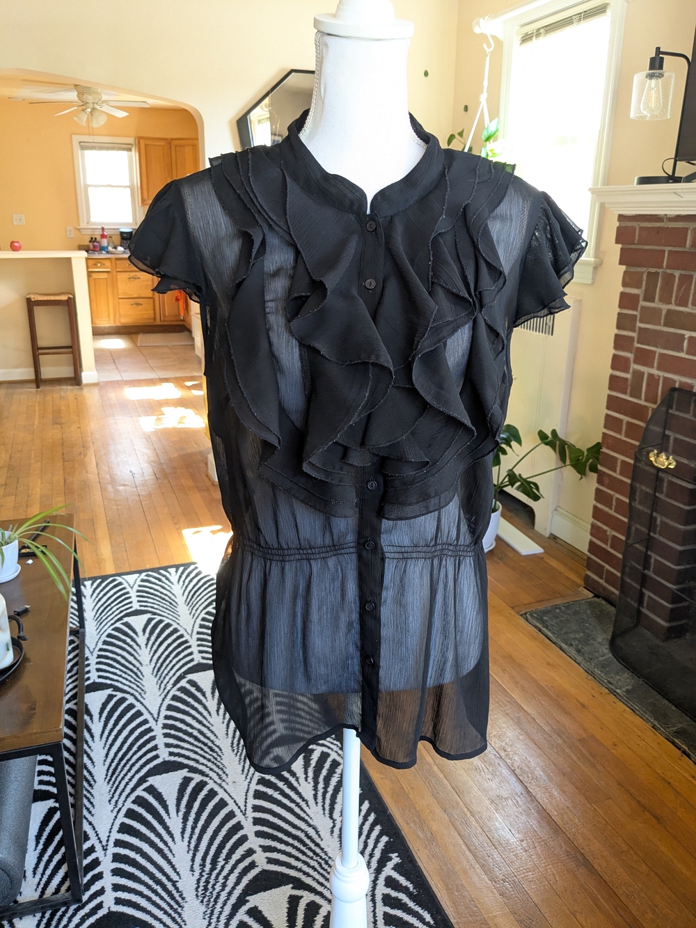 Y2K Sheer Black Blouse with Ruffled Front and Cap Sleeves from Sunny Leigh